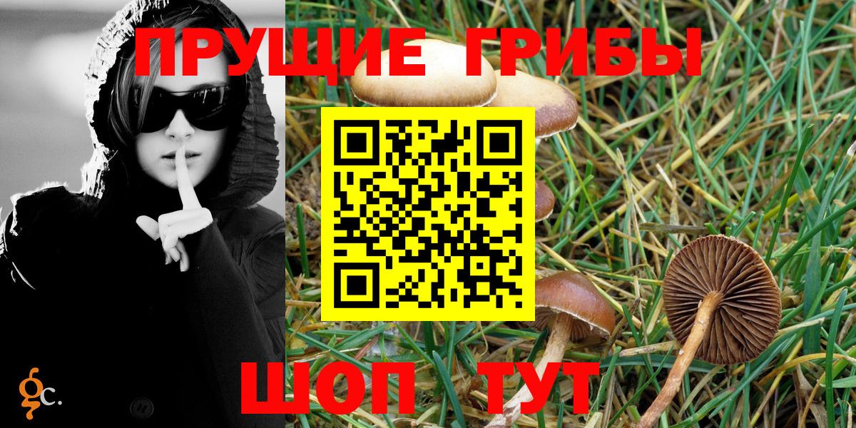 Галлюциногенные грибы Cubensis Урай
