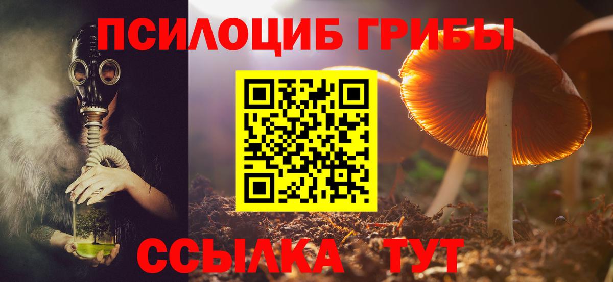 Урай  Псилоцибиновые грибы мухоморы  Вход с VPN 